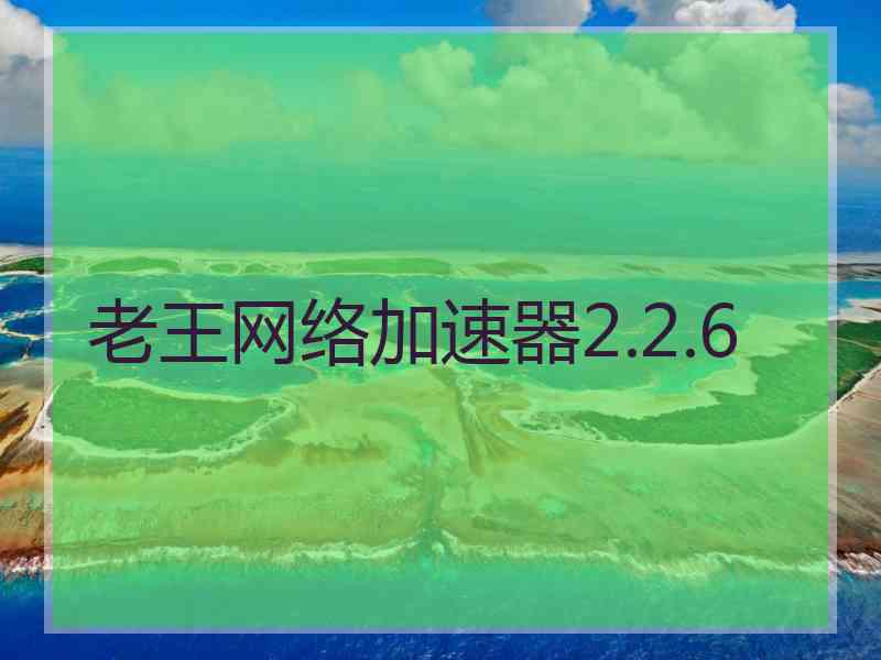 老王网络加速器2.2.6