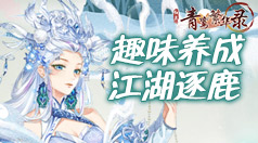 手机npv是什么意思
