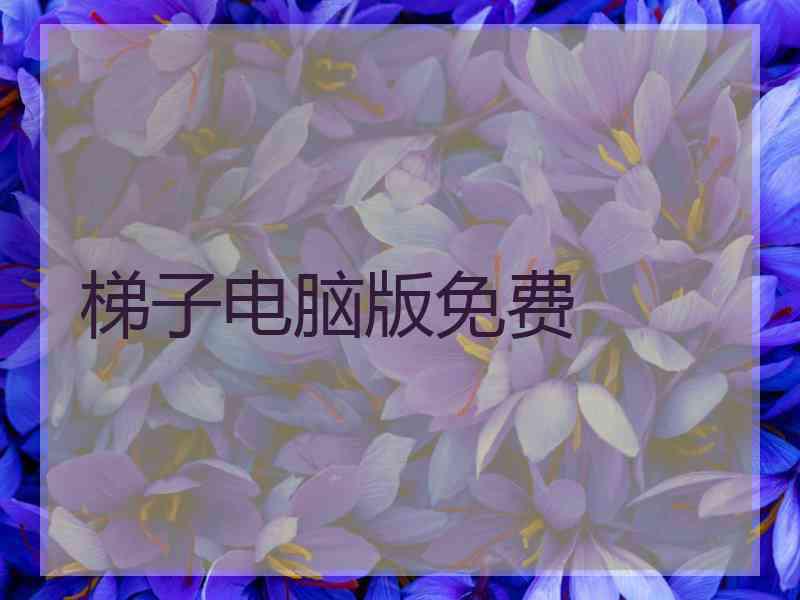梯子电脑版免费