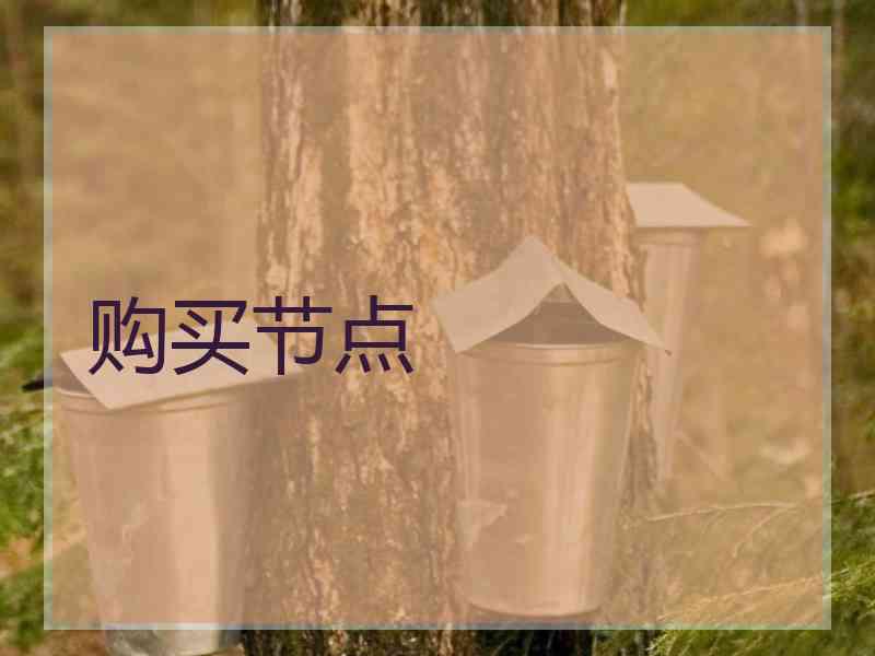 购买节点