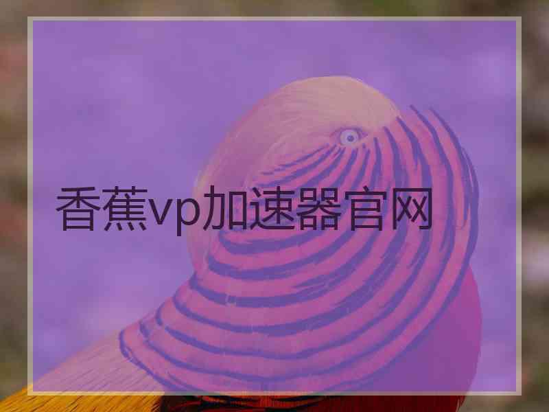 香蕉vp加速器官网