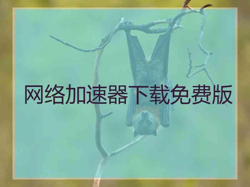 网络加速器下载免费版