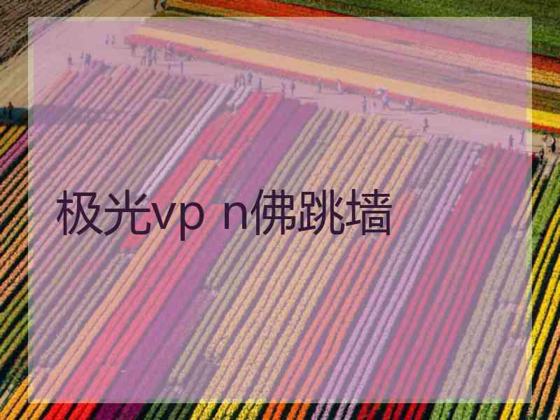 极光vp n佛跳墙
