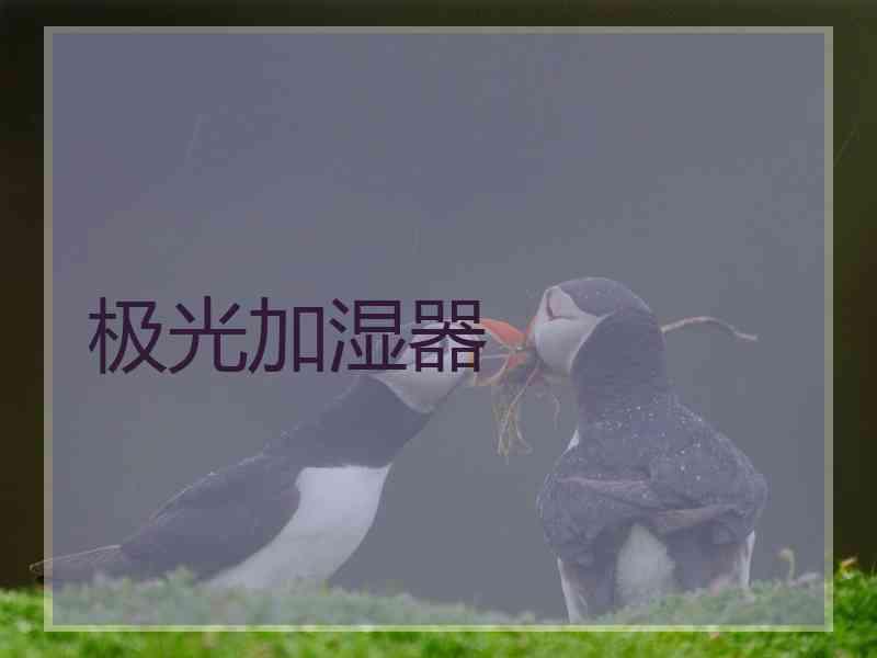 极光加湿器
