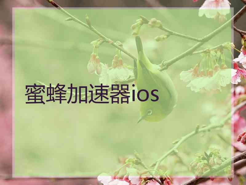 蜜蜂加速器ios