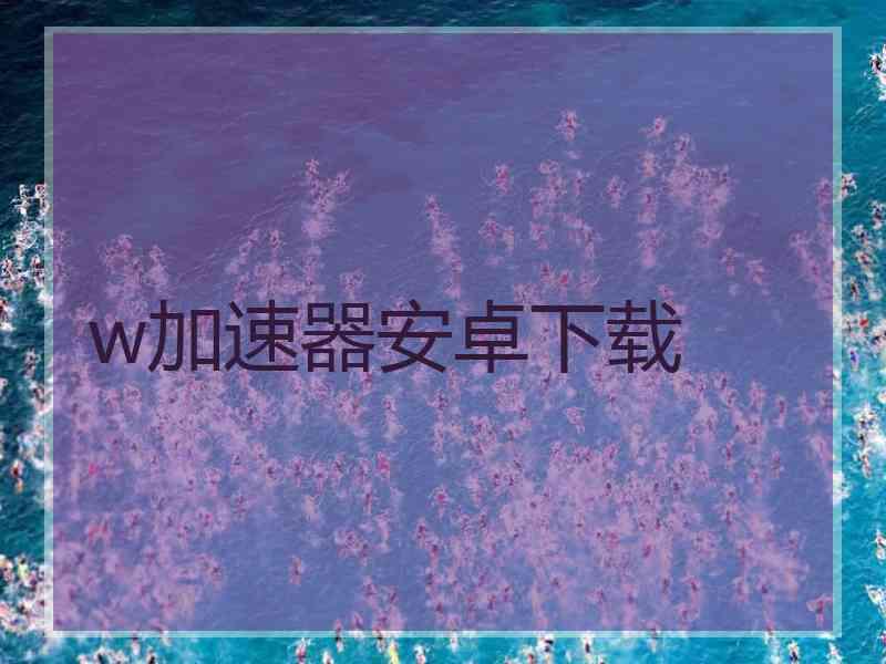 w加速器安卓下载
