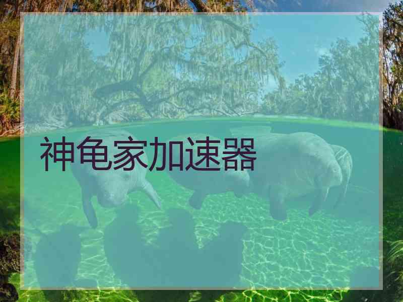 神龟家加速器
