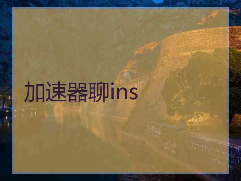 加速器聊ins
