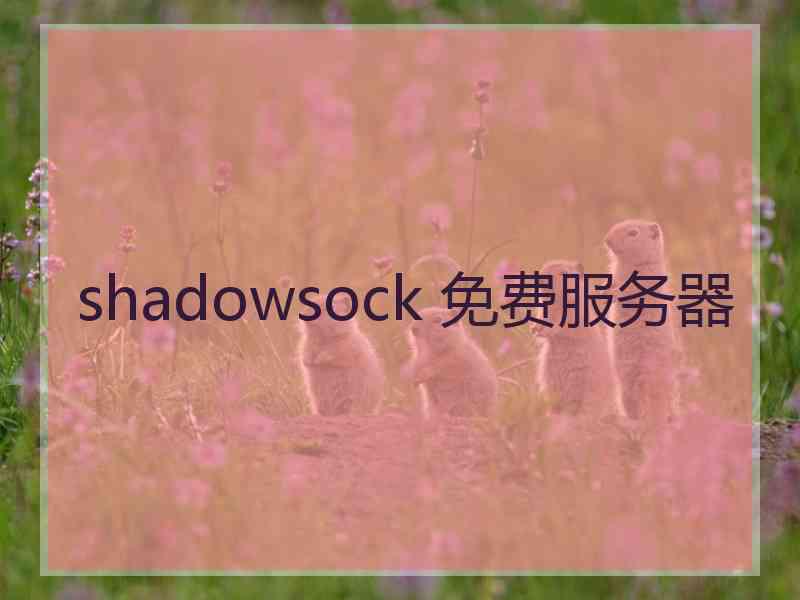 shadowsock 免费服务器