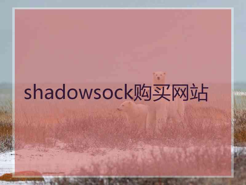 shadowsock购买网站
