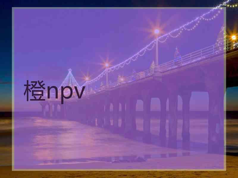 橙npv