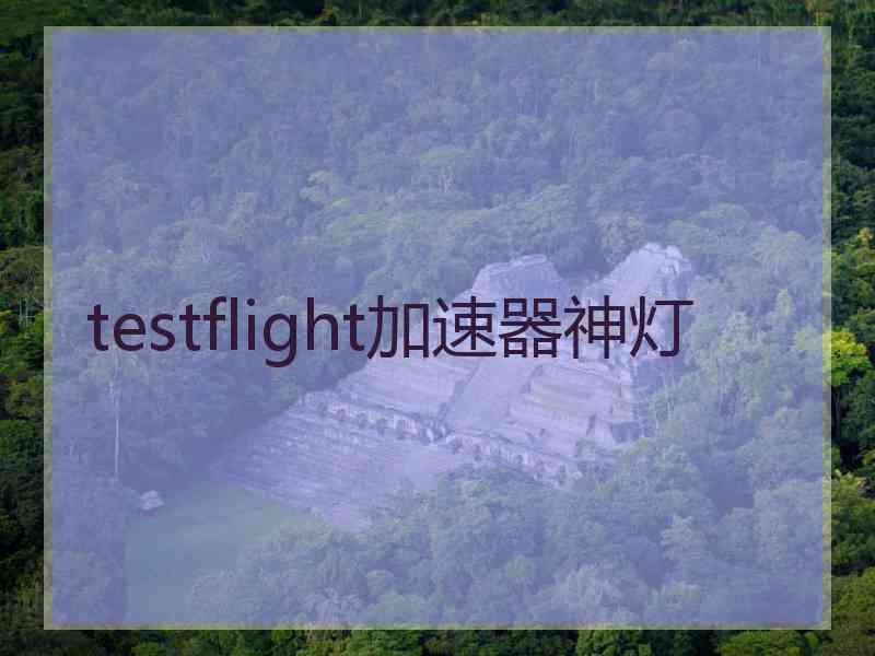 testflight加速器神灯