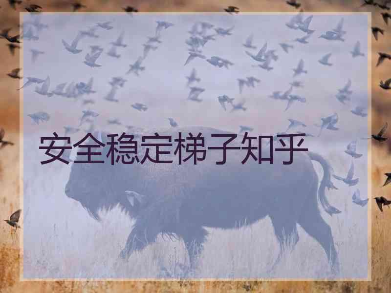 安全稳定梯子知乎
