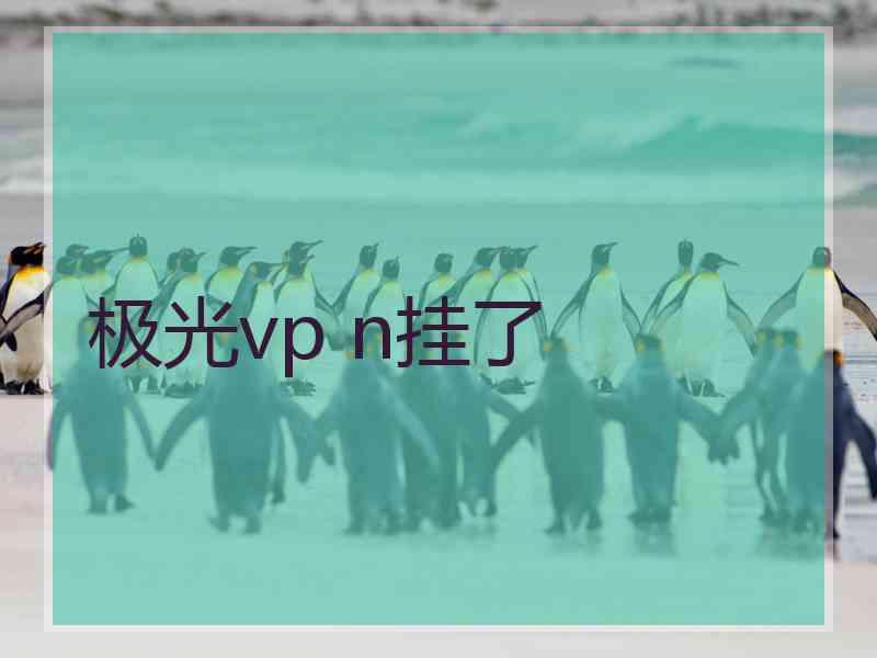 极光vp n挂了