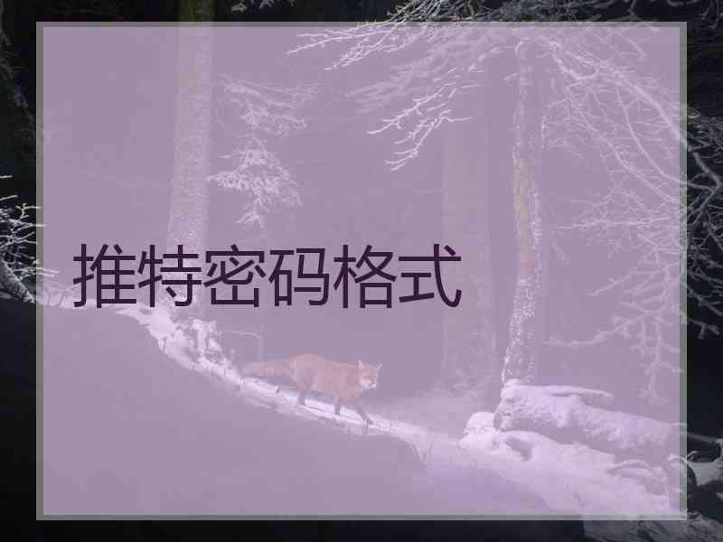 推特密码格式