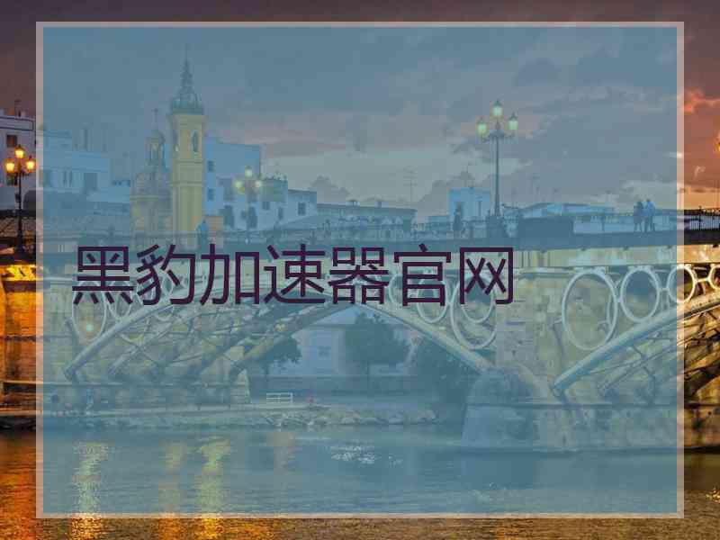 黑豹加速器官网