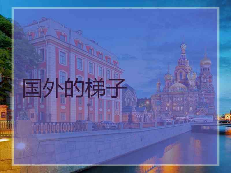 国外的梯子