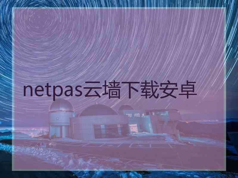 netpas云墙下载安卓