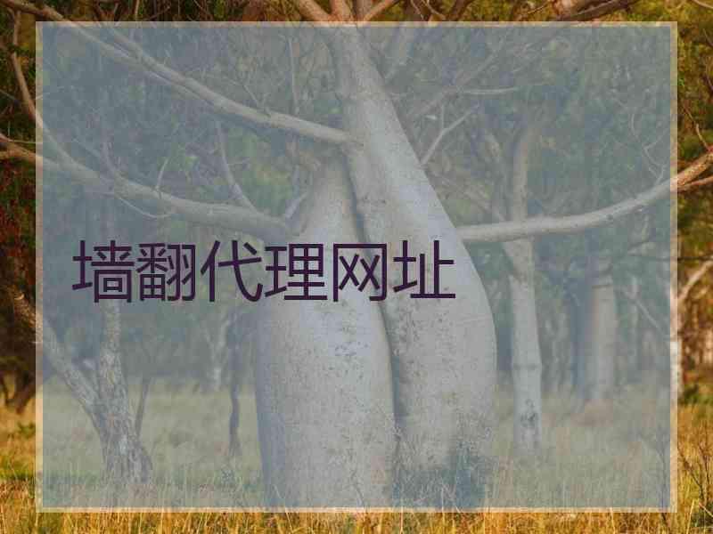 墙翻代理网址
