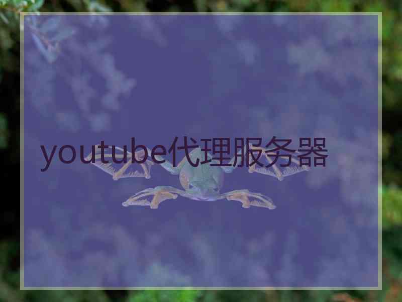 youtube代理服务器