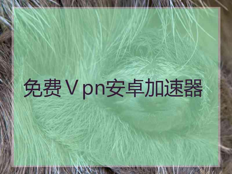 免费Ⅴpn安卓加速器
