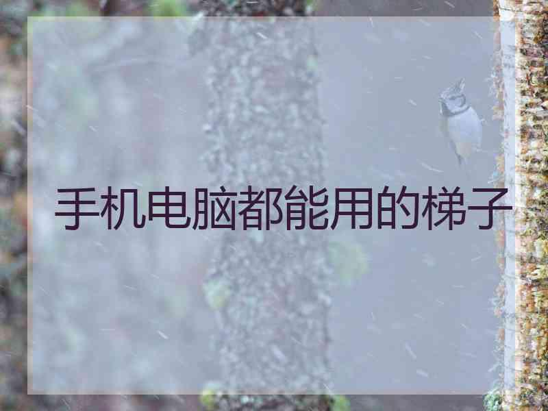 手机电脑都能用的梯子