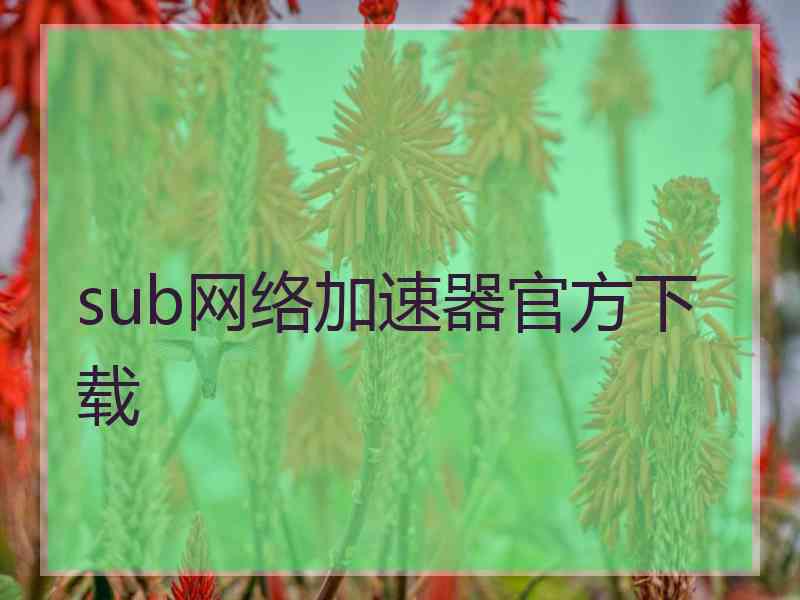 sub网络加速器官方下载