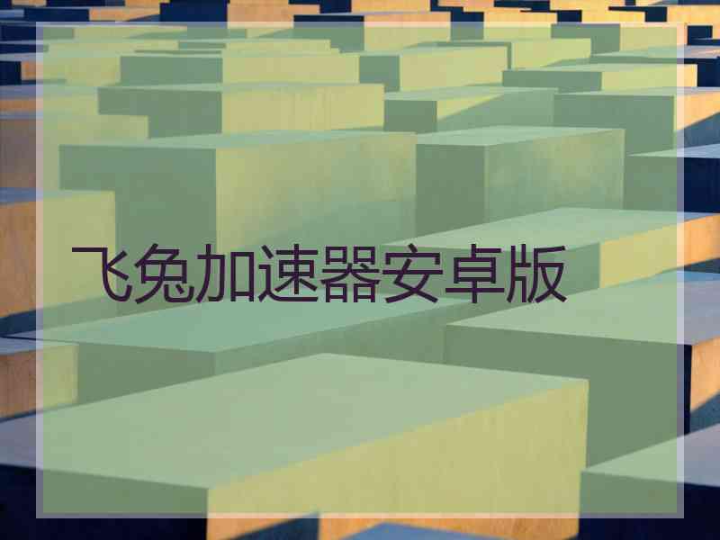 飞兔加速器安卓版