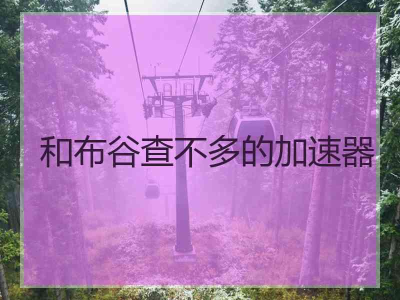 和布谷查不多的加速器