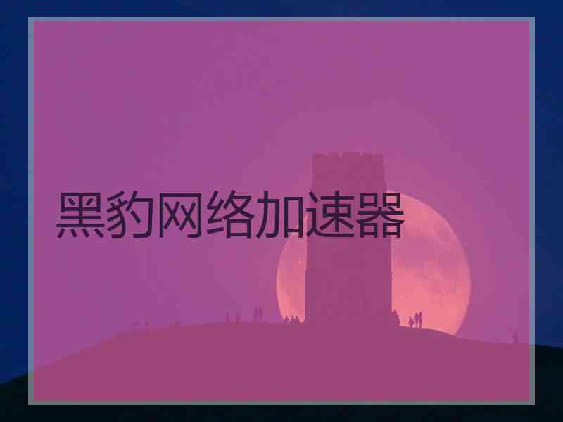 黑豹网络加速器