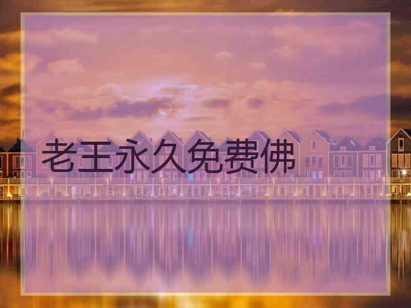 老王永久免费佛