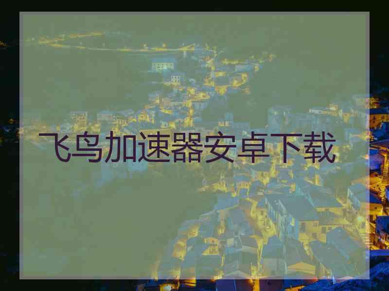 飞鸟加速器安卓下载