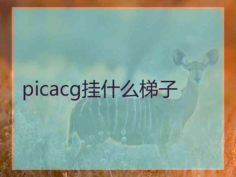 picacg挂什么梯子