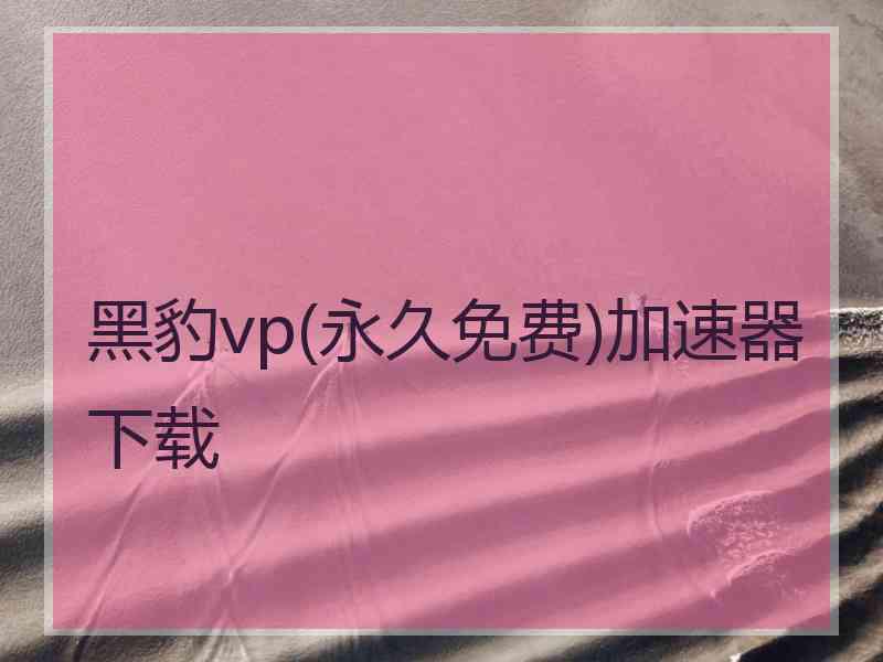 黑豹vp(永久免费)加速器下载