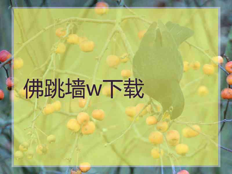 佛跳墙w下载
