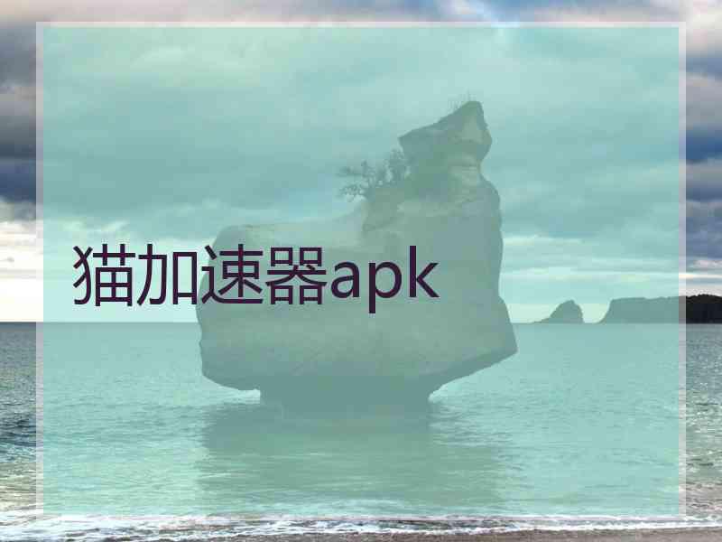猫加速器apk