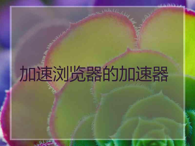 加速浏览器的加速器
