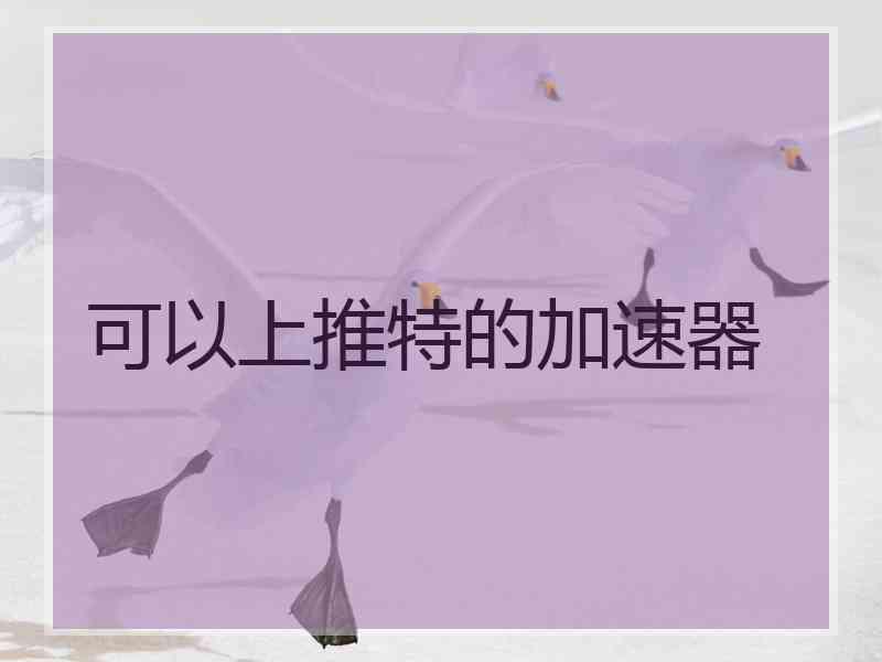 可以上推特的加速器