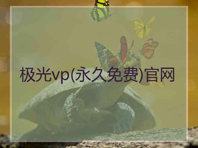 极光vp(永久免费)官网