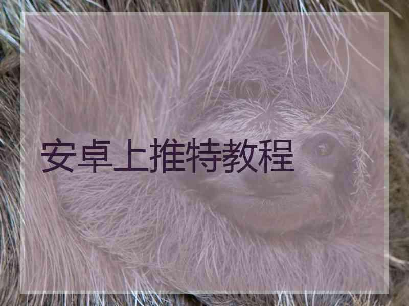 安卓上推特教程