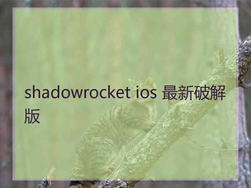 shadowrocket ios 最新破解版