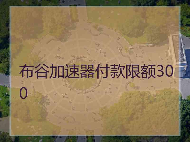 布谷加速器付款限额300