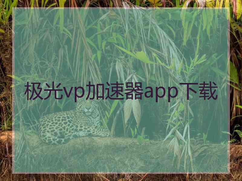 极光vp加速器app下载