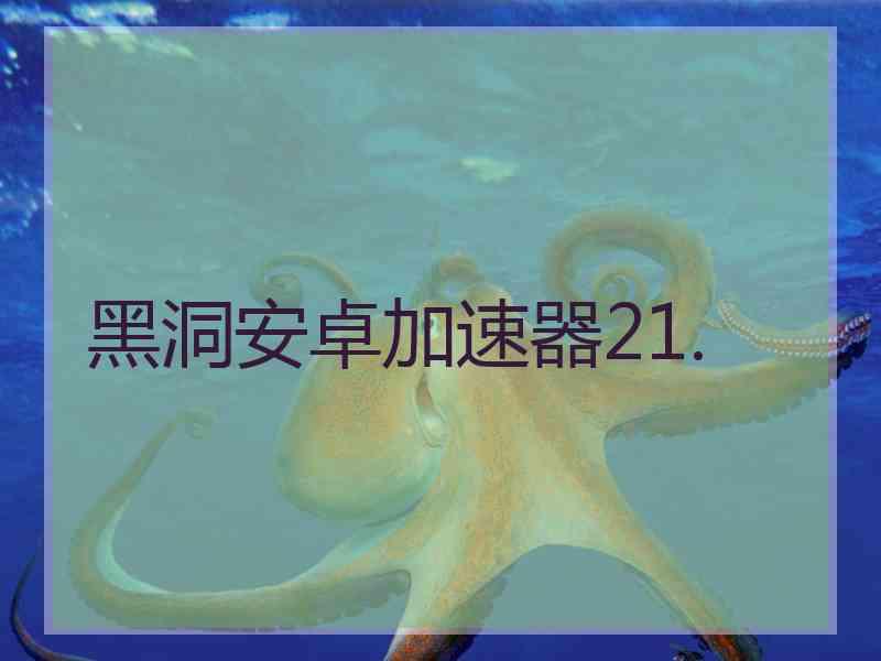黑洞安卓加速器21.