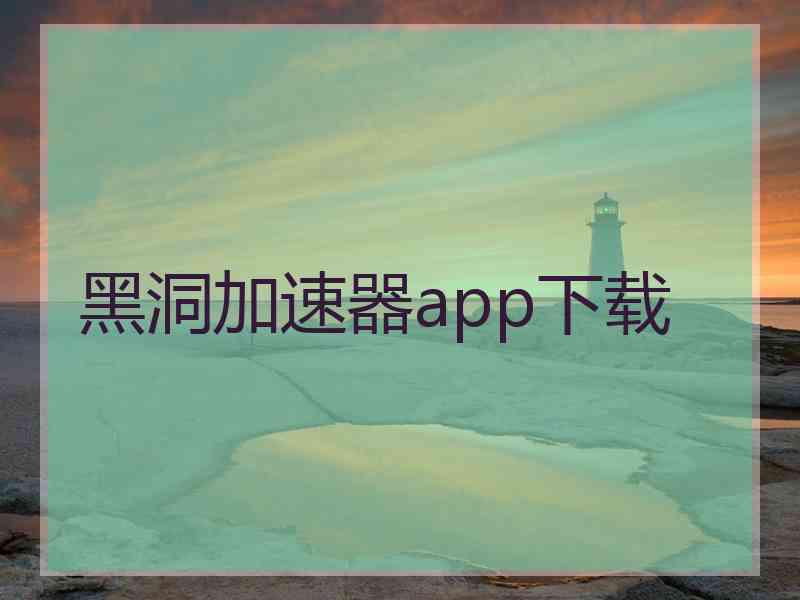 黑洞加速器app下载