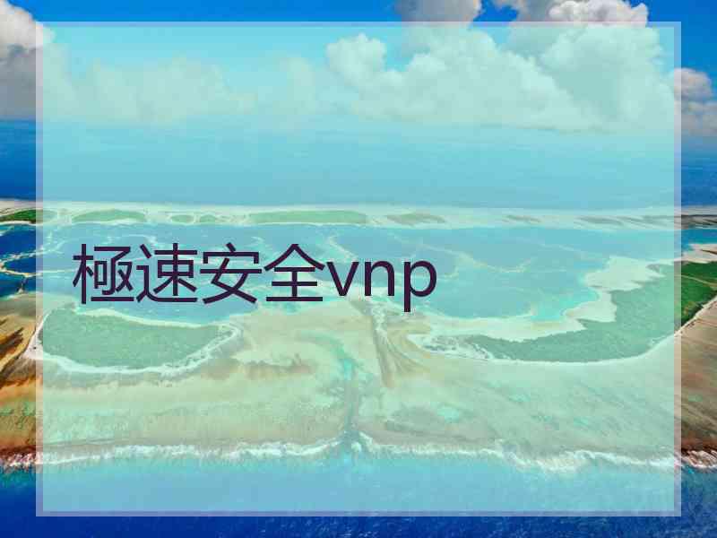 極速安全vnp
