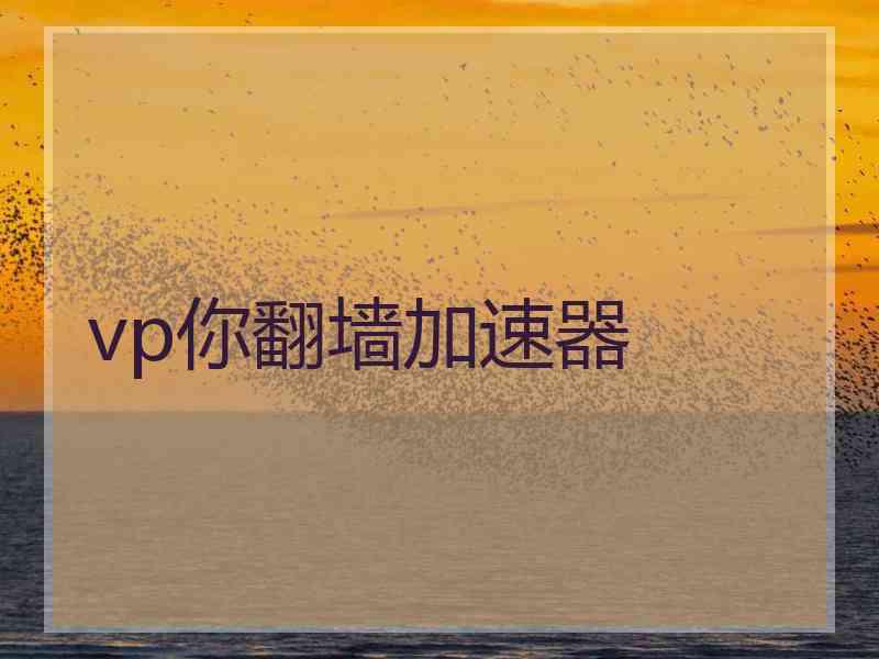 vp你翻墙加速器