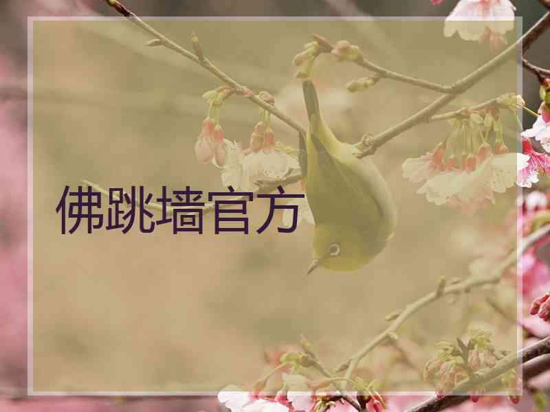 佛跳墙官方