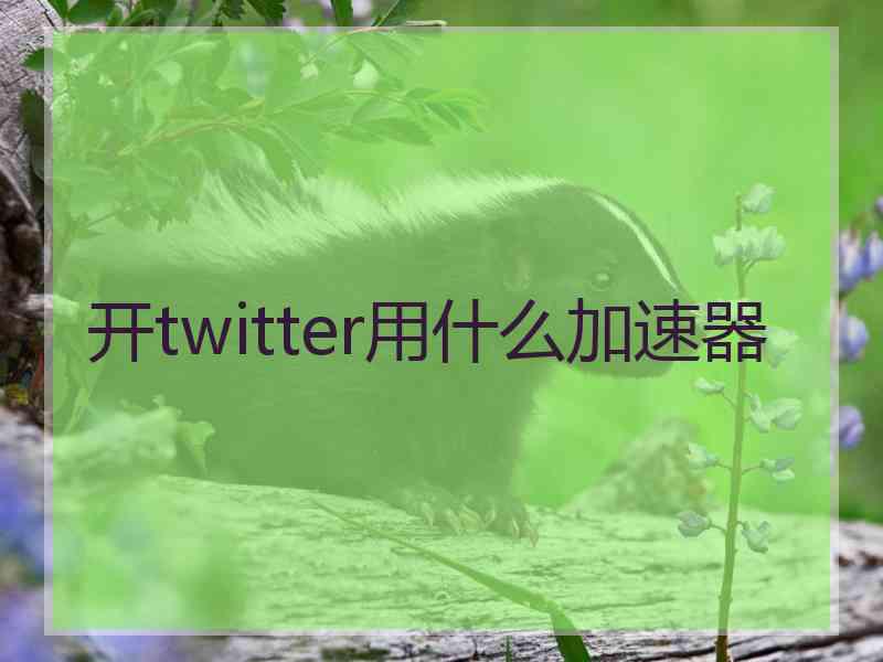 开twitter用什么加速器