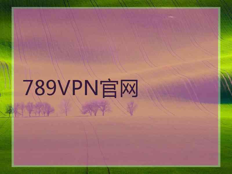 789VPN官网